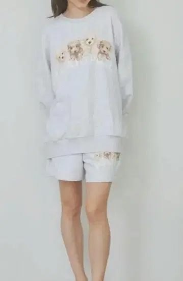 새상품 젤라또피케 토이 푸들 쭈리 풀오버&숏팬츠 세트