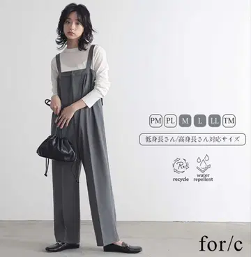 for/c 포시 살로펫 그레이
