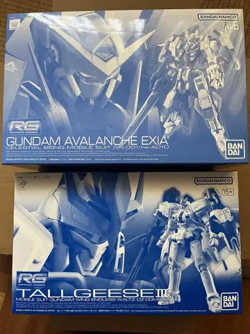 RG 건담 아바라치 엑시아 & 토르기스 III