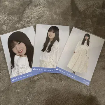 오가와 아야 노기자카46 브로마이드 전국 투어 2025 메쉬 니트 컴프
