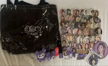 TWICE 사나 토트백 캔뱃지 이타백