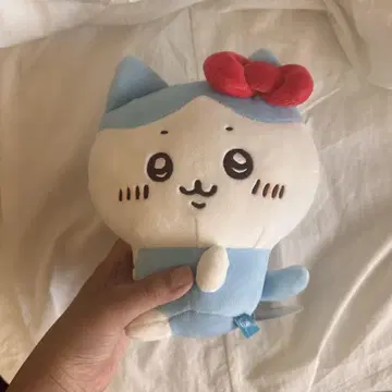 치이카와 하치와레 키티
