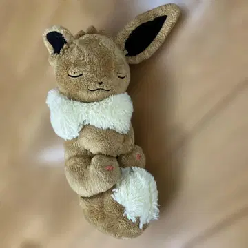 이브이 봉제 인형 약 30cm 잠자는