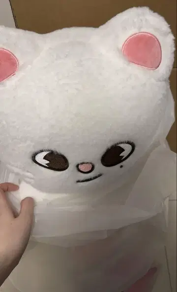 StrayKids skzoo jiniret 테디베어