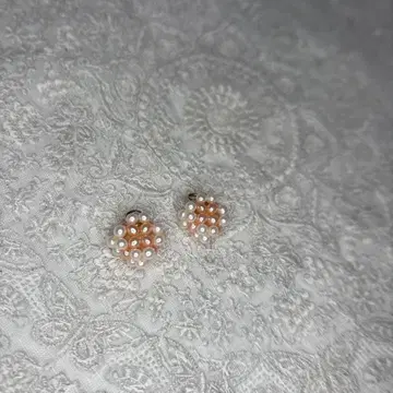 담수 펄 참