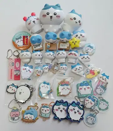치이카와 하치와레 정리