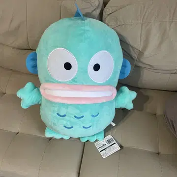 한교동 초초 BIG 봉제 인형~박~
