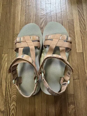 테바 W 미드폼 아리바카 25cm