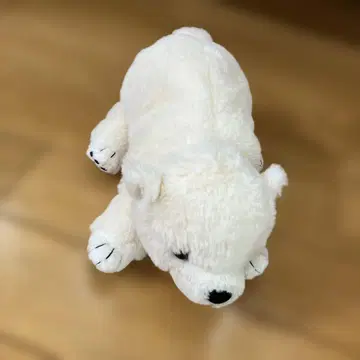 북극곰 봉제 인형