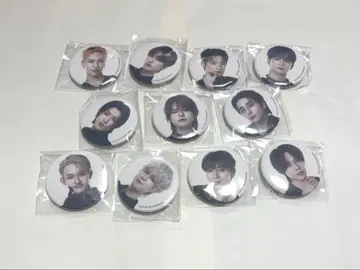 INI 캡슐 토이 캔뱃지 전종 세트