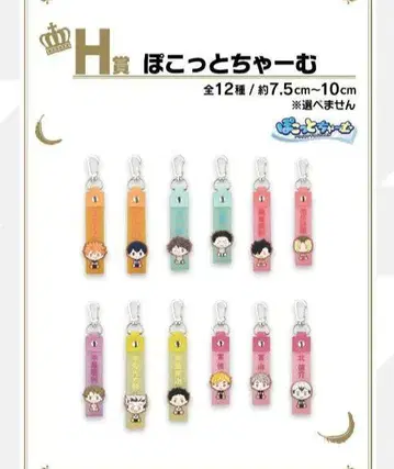 제일복권 하이큐!! H상 포코토챠무 전 12종 세트