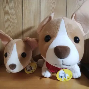코기 봉제 인형 2개 세트