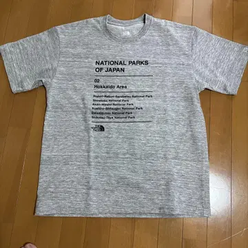 THE NORTH FACE 국립공원 티셔츠 XL 그레이 한정판