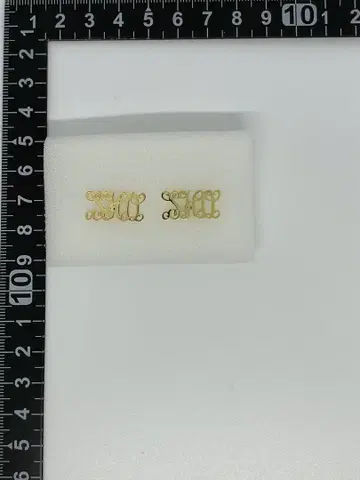 히라노 쇼 귀걸이