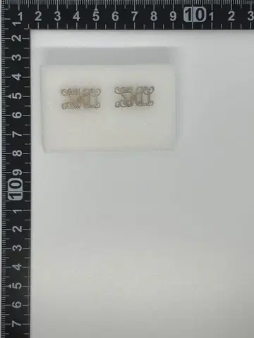 히라노 쇼 귀걸이