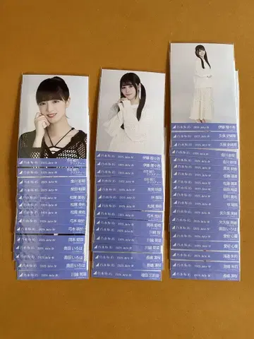 노기자카46 브로마이드 메쉬 니트 모음 48장