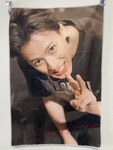 히라노 쇼 타월