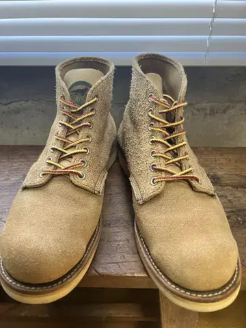 REDWING 8167 반원형 개 태그 단종 모델 7.5E 레드 윙