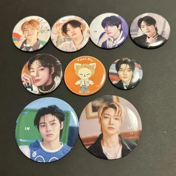 straykids 아이엔 캔뱃지