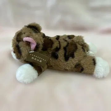 이리오모테 야마네코 봉제 인형
