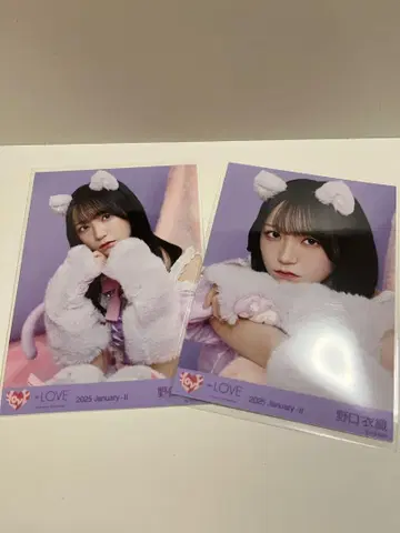 노구치 이오리 브로마이드 세미 네이비