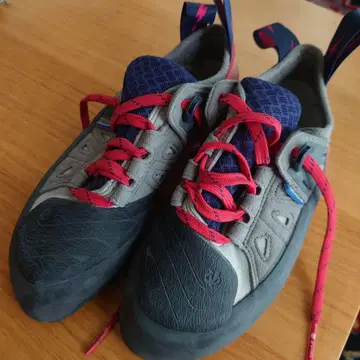 이볼브 오라클 US6 UK5 EUR38 24cm