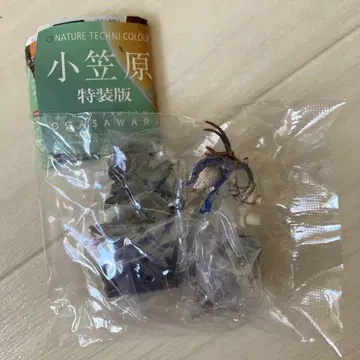 네이처 테크니컬러 오가사와라 특장판 무라사키 오카야도카리