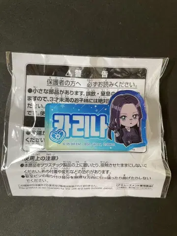 namco 한정판 aespa 에스파 이름 아크릴 배지 카리나