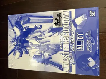 GAT-X105 에일 스트라이크 건담 도금 버전