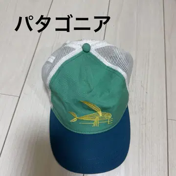 파타고니아 모자