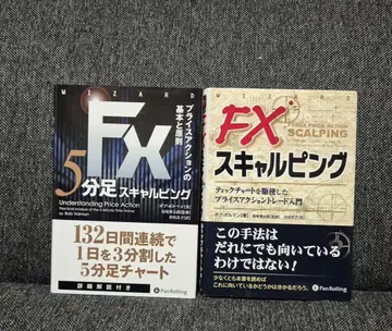FX 5분 차트 스캘핑 프라이스 액션의 기본과 원칙