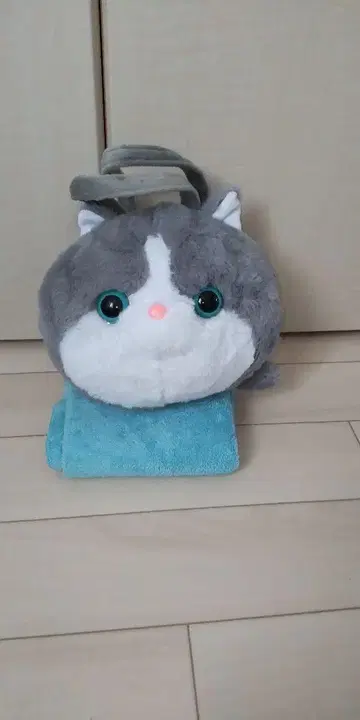 마루이 후와 고양이 백 그레이