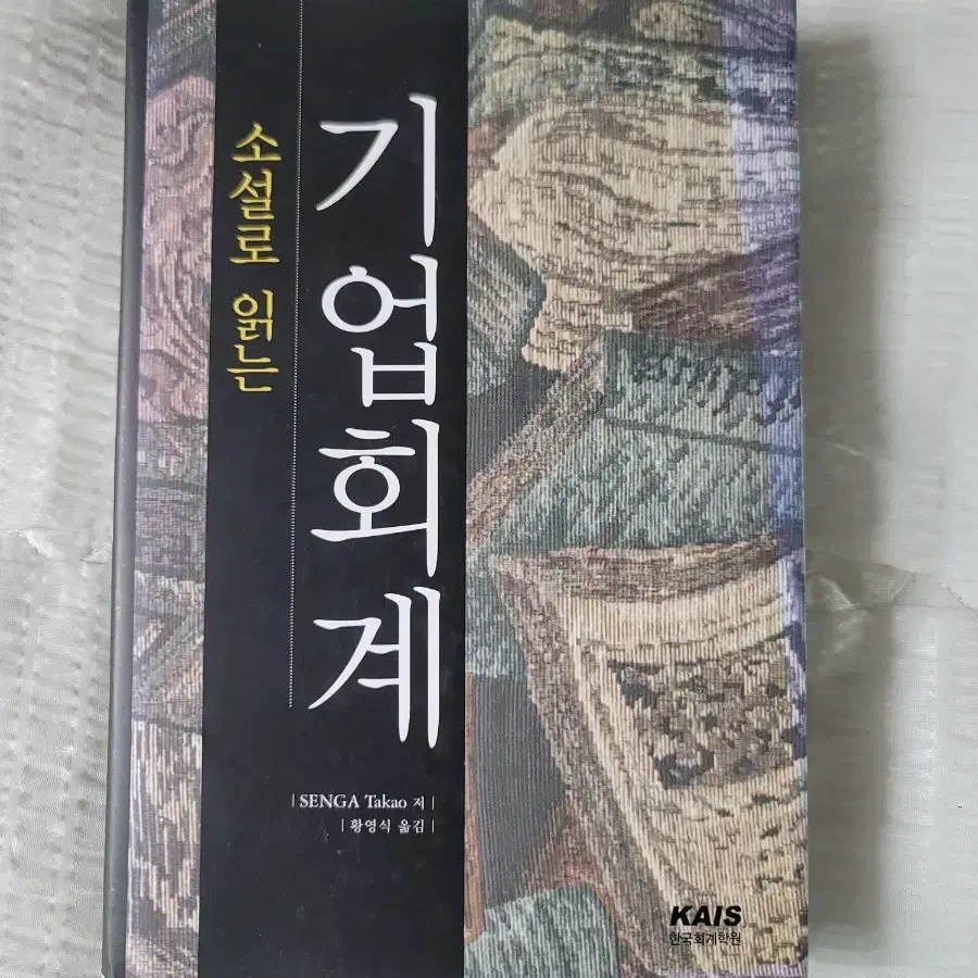 Financial Accounting in Novel Format (Unused) on Bunjang
