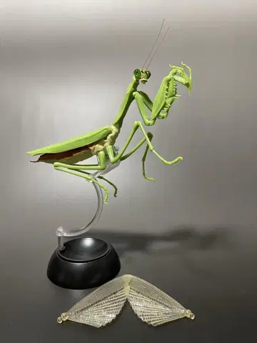 반다이 생물대도감 오오카마키리