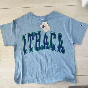 챔피온 Ithaca 반팔 티셔츠 여성용 L 그레이
