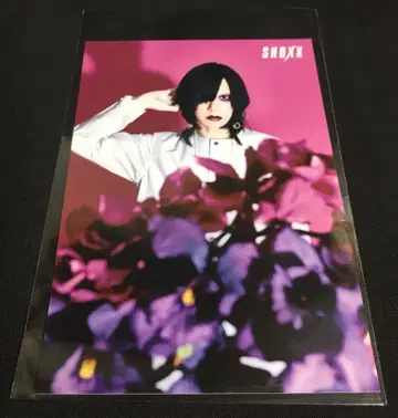 Plastic Tree 아리무라 류타로 SHOXX 브로마이드 No.014