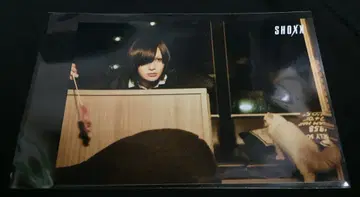 Plastic Tree 아리무라 류타로 SHOXX 브로마이드 No.007