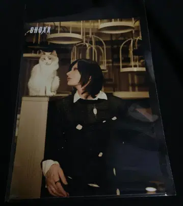 Plastic Tree 아리무라 류타로 SHOXX 브로마이드 No.008