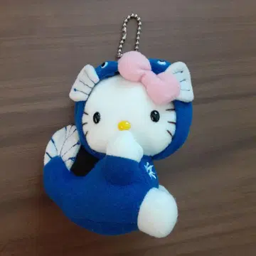 헬로키티 지역 특산품 키티 봉제 인형 키링 하마나코 호수 레트로