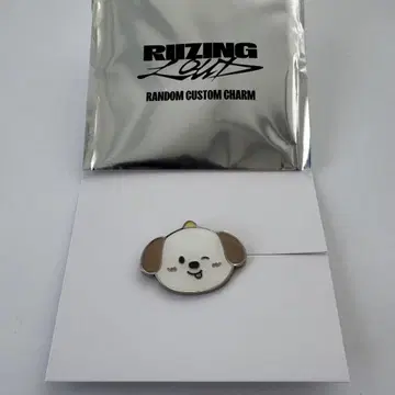 RIIZE 랜덤 커스텀 참 앤톤