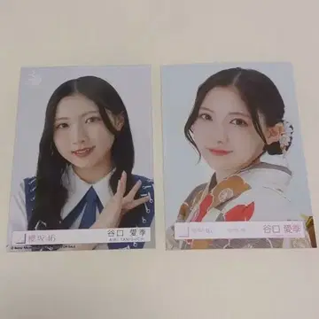 사쿠라자카46 브로마이드 2장 세트 타니구치 아이리