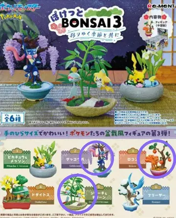 포켓몬 포켓 BONSAI3 지라치 게코우가 로콘
