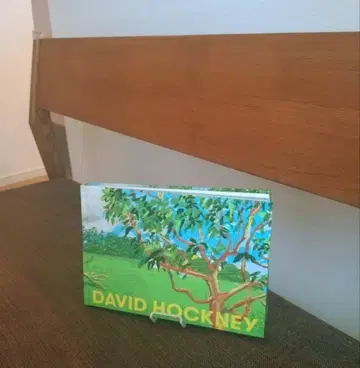 데이비드 호크니 전 도록 DAVID HOCKNEY