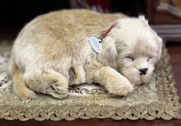Perfect petzz 퍼펙트 펫 골든 리트리버 치유 귀여운