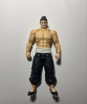 S.H.Figuarts 토도 아오이 (설명 필수)