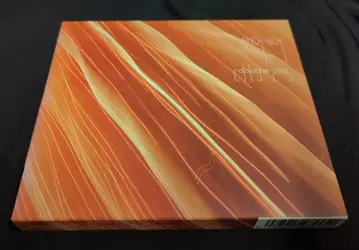 BUCK-TICK 초회판(2CD) CATALOGUE 2005