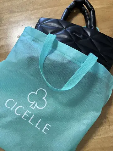 태국에서 온 CICELLE 푹신푹신 블랙 토트백