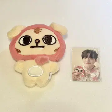 CRAVITY 존모 란모 플랫 인형