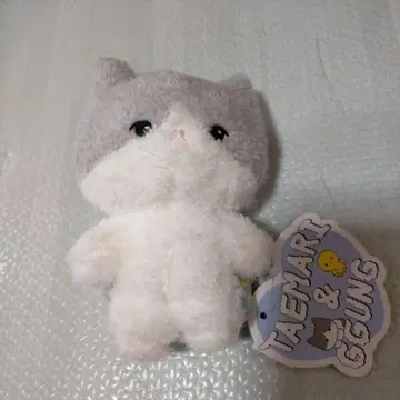 테민 봉제 인형 새상품