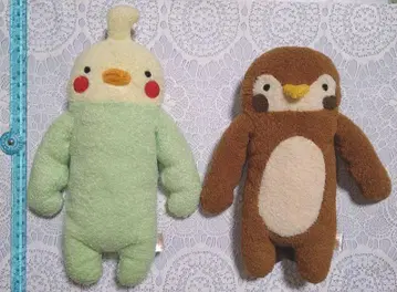 후모모 씨 티크 치코리